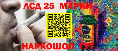 сатива Апшеронск