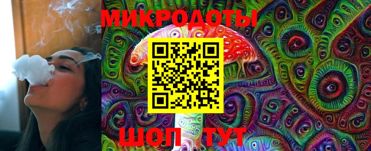 Галлюциногенные грибы Psilocybine cubensis Богородицк